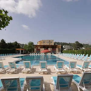 book here